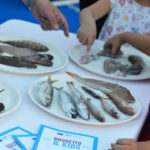 Lo spazio Brodetto & Kids del Festival Internazionale del Brodetto e delle Zuppe di Pesce - Fano